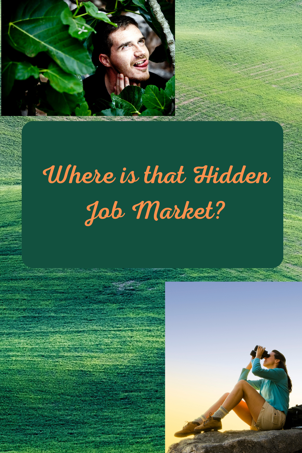 Did the Hidden Job Market Disappear?