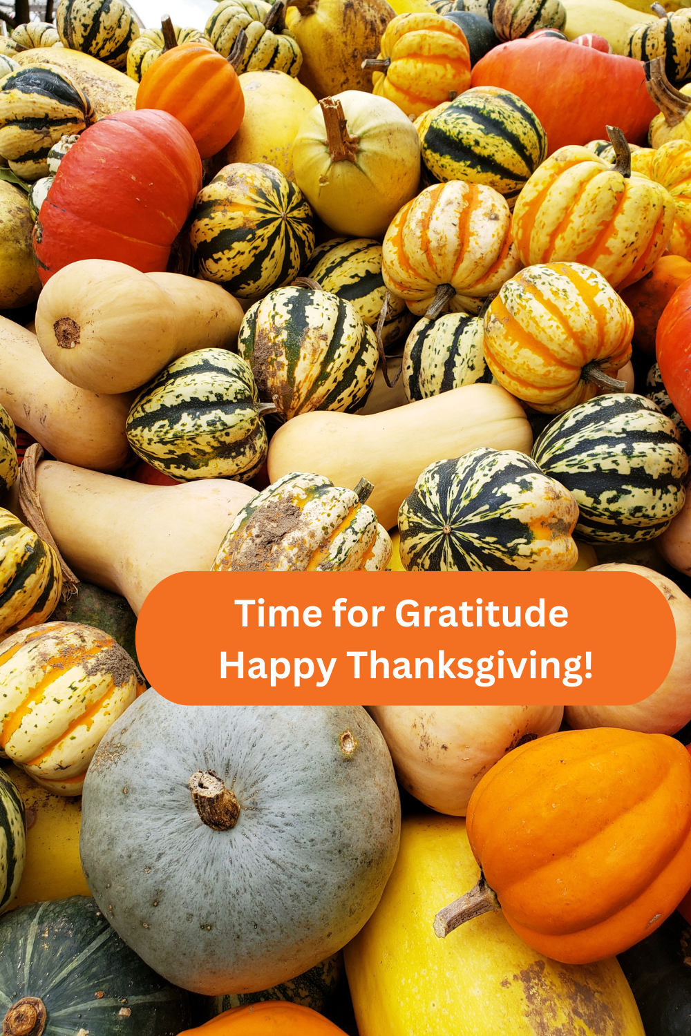 Time for Gratitude - Happy Thanksgiving